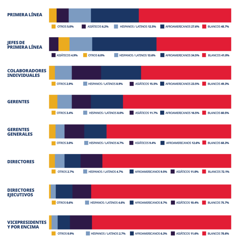 Gráfico de origen étnico de los empleados por nivel de cargo